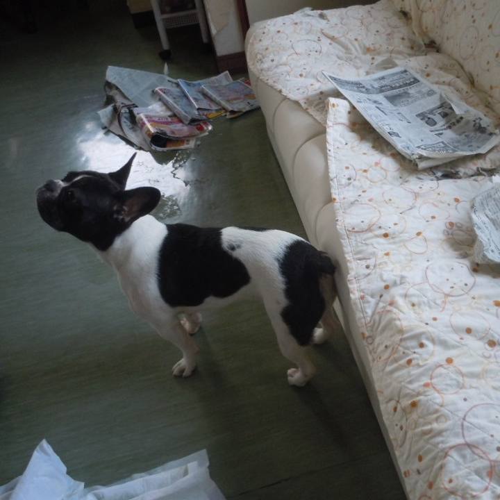 4bb0cd0f a392 4b80 8fcf ac73b78c12a3