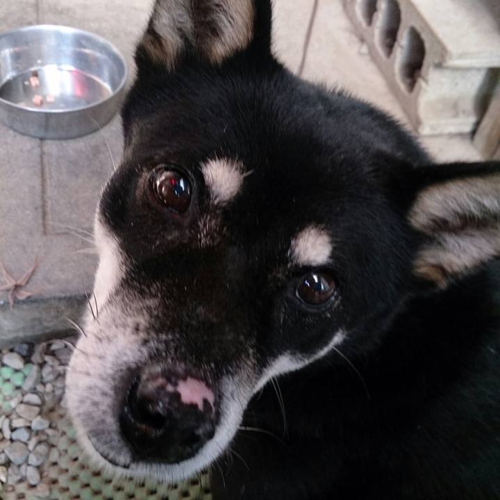 4bb113b7 a29e 484d b8a9 13fc6719ac68