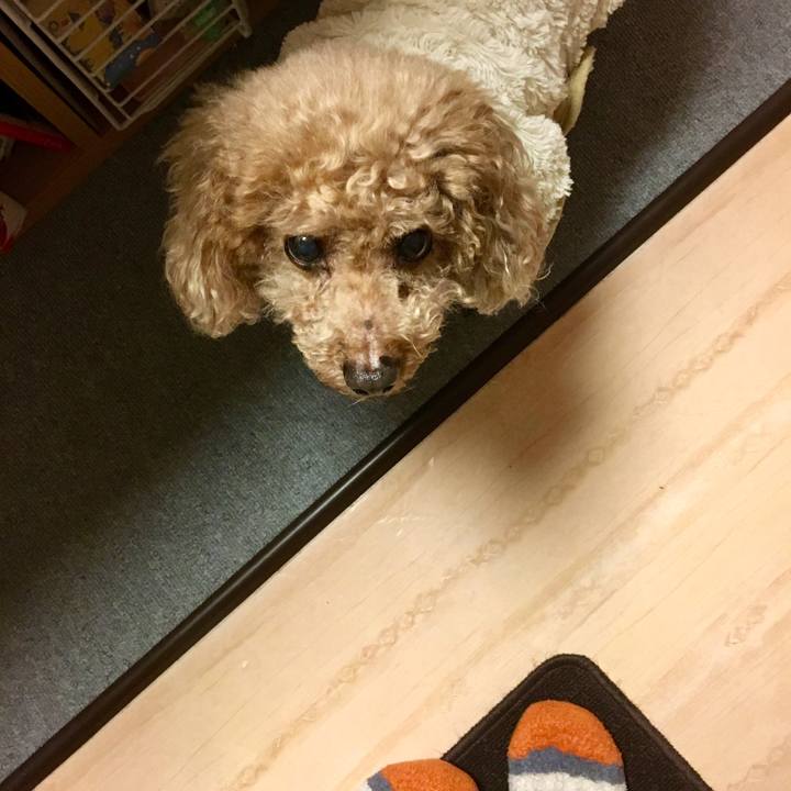 4bb17d88 5cc3 4fb1 9619 87bcea94913e