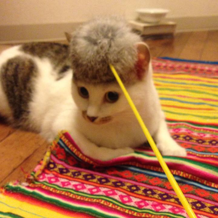 4bb1a4eb f037 421c 8301 d19de8b406eb