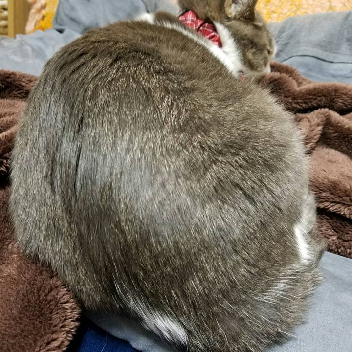 4bb25074 5887 4740 b4c7 4dd9d9a337bf