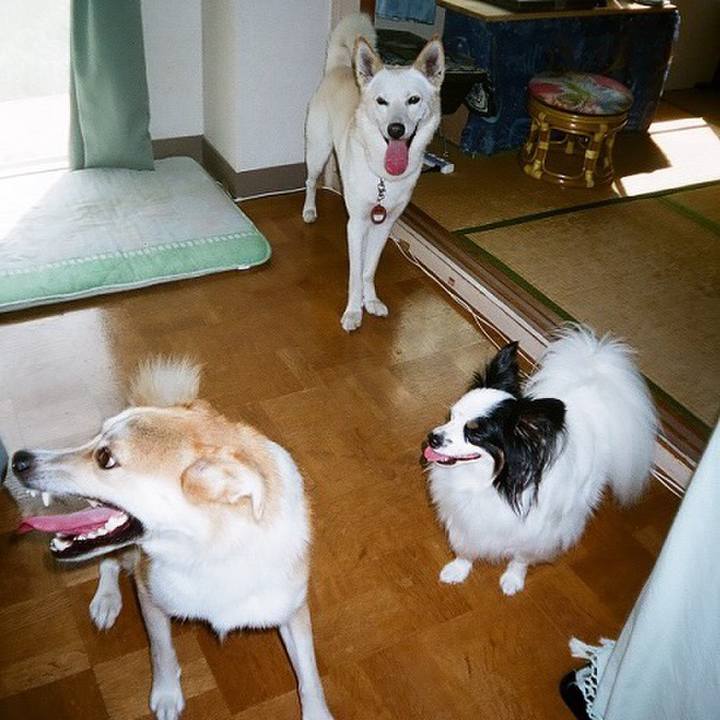 4bb2b0b3 fbab 44b7 80ef 912646c9f312