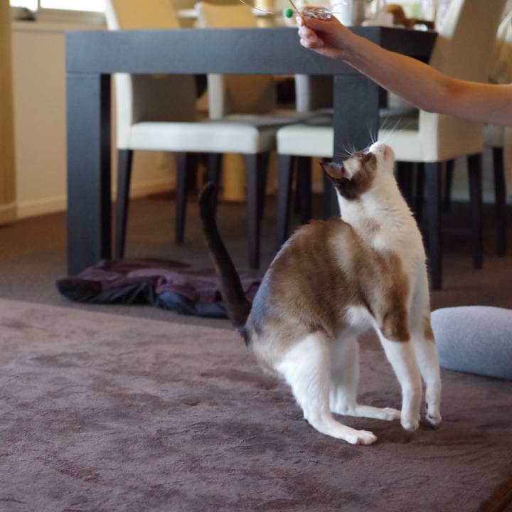 4bb303fa e439 447a a73b 6b9836b3c42c