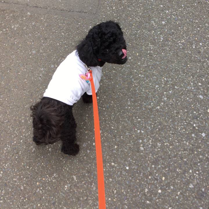 4bb37d04 663e 4c40 b8bc 1534c3b59bc4