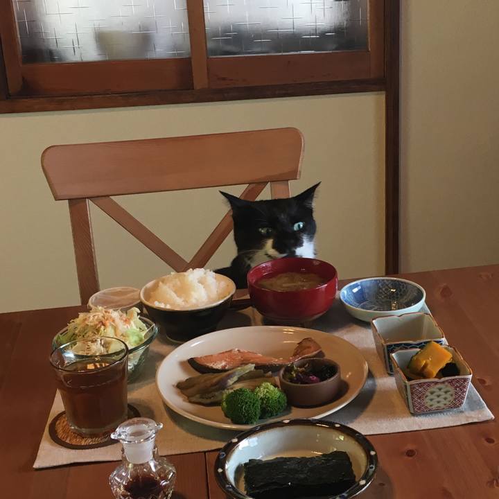 4bb38129 36ef 4b6d 99d5 0844feaceb94