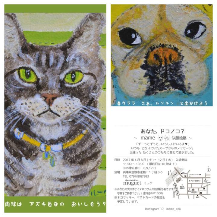 4bb4129d f7fe 4f1e 98c1 40039ad1394f