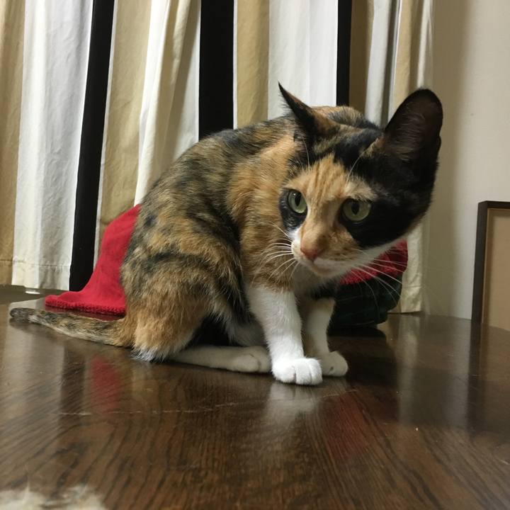 4bb47347 77c6 429d 9ed3 6111c56f92bd