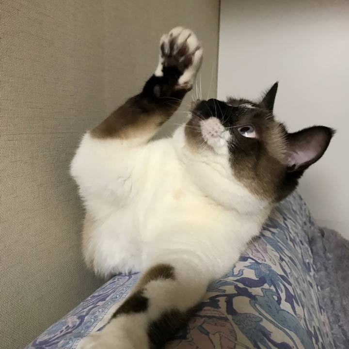 4bb4cd47 bf5b 4cac acd5 d1da8e14d44a