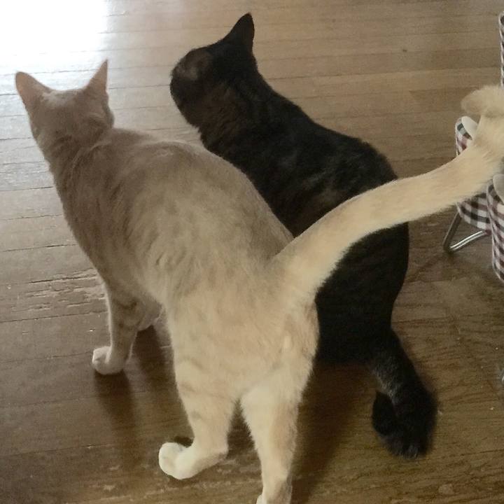 4bb53b40 3c55 42af a56c f2442bfeb6d8