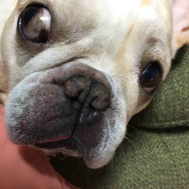 4bb5679f 78f6 4863 a432 f3eac4b651a7