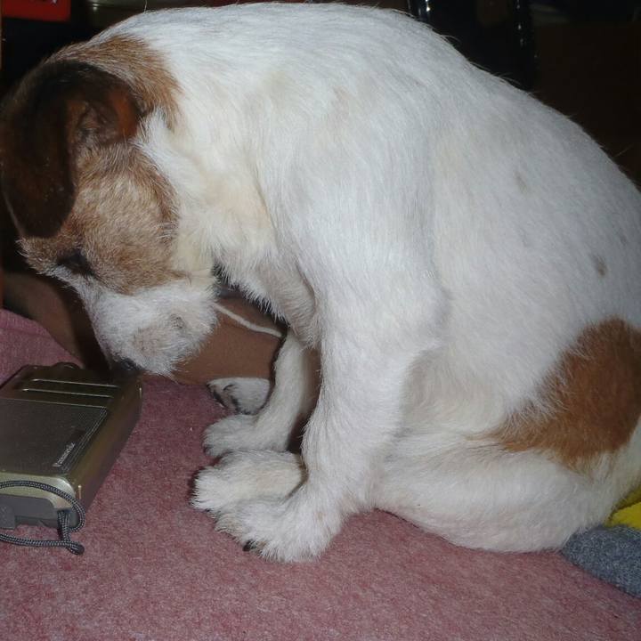 4bb5c558 baf7 4fb4 84e4 7a4aa6044823