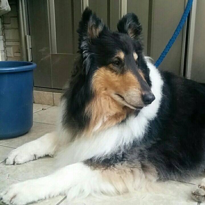 4bb5db69 99e0 488b b428 3c1cca4cdea9