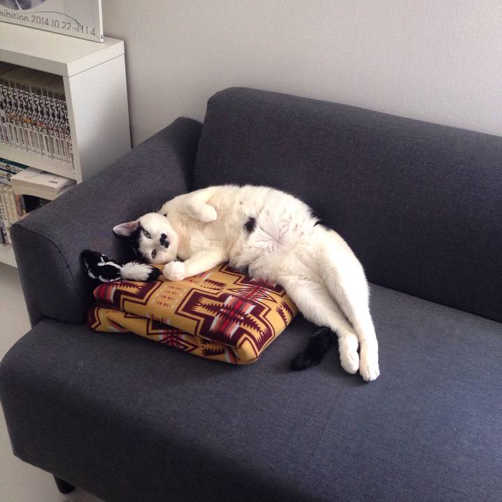 4bb608f5 25d7 4e60 9439 6a3de4e0795d