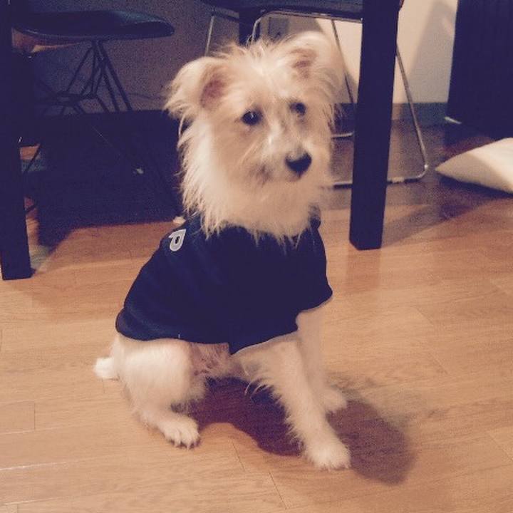 4bb720af 46b0 49e4 8b93 311198a11dca