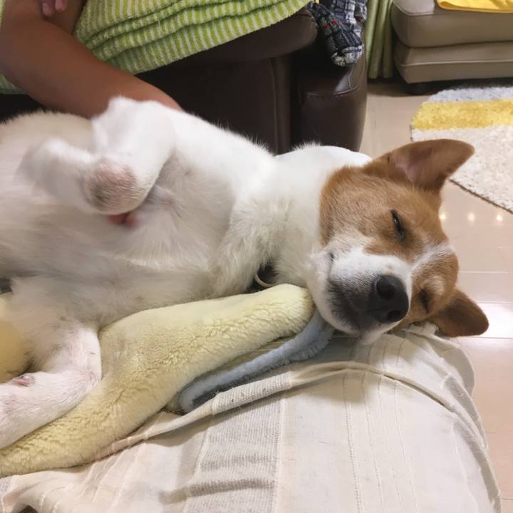 4bb73fab f3bb 468d bb1e 094d332baa9a