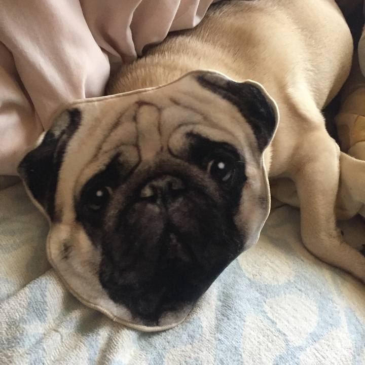 4bb7b087 a88c 4303 8aee ba951b0589fd