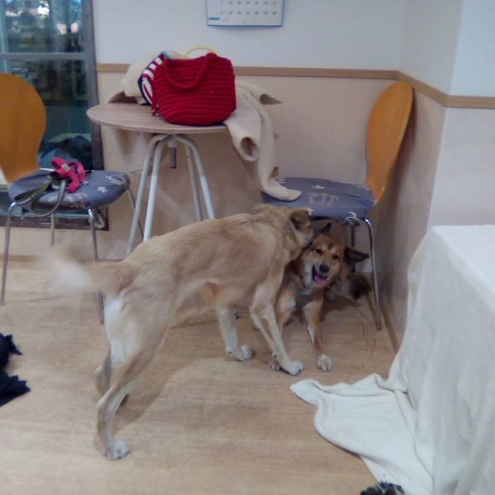 4bb7c2c6 5a3a 46c5 93e9 d0f0a117e553