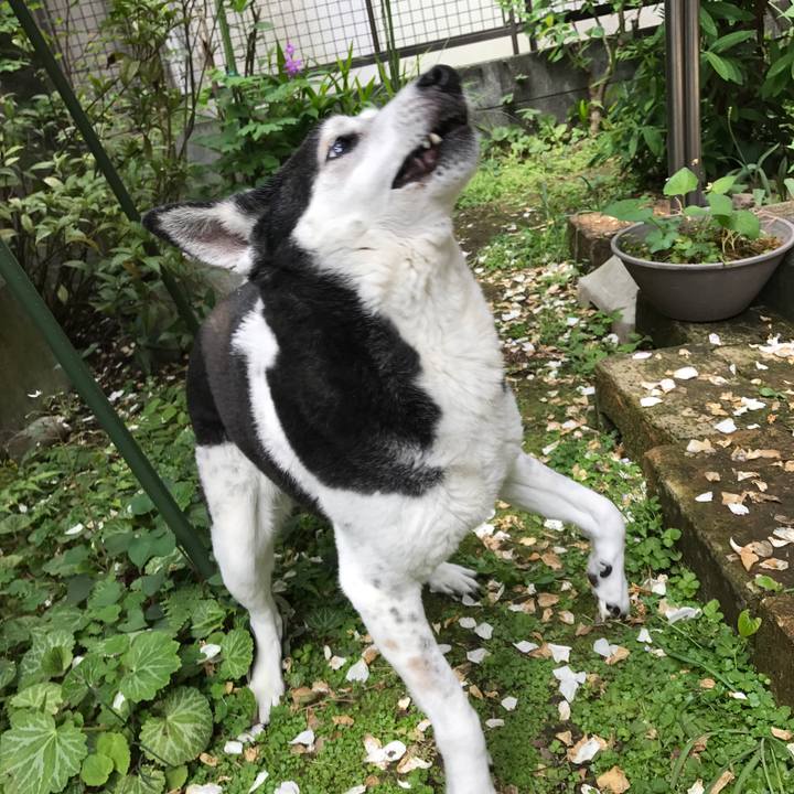 4bb7c50c 46d2 48a3 9536 4906552b4098