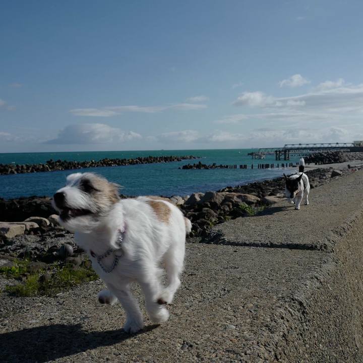 4bb80805 3f36 488c a5aa 9387bb6114cd