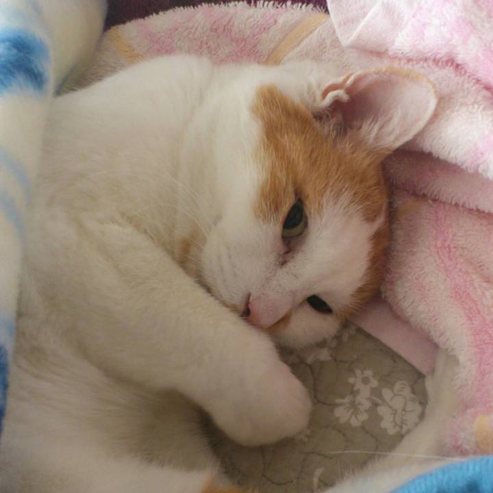 4bb8b6d5 bf90 4e3b b5f8 d78b77847958