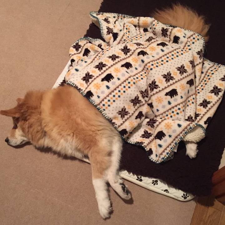 4bb90ad5 07de 4ed3 bad4 aff2437f3450