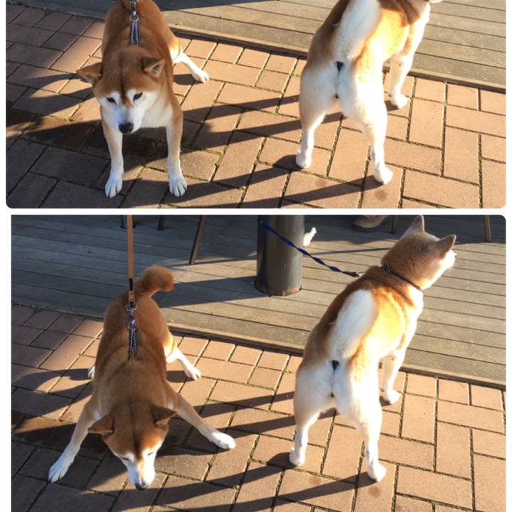 4bb91f88 e80c 4bfe 88f5 3cb7a11a3620