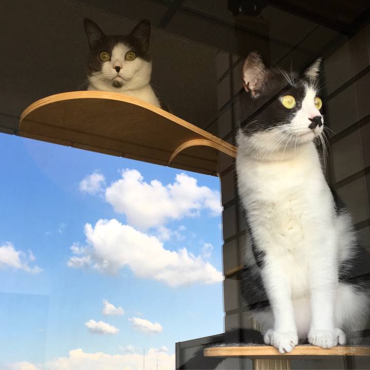 4bba1756 f699 40db 8258 13156c1e88db