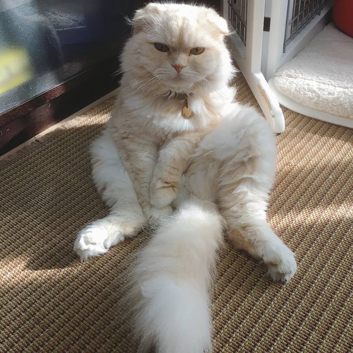 4bbe14dc 2d5a 4397 ad5a 5976637c7810