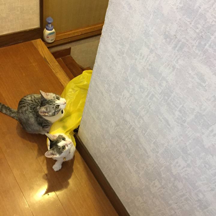 4bbe7acd c900 4ec5 bb4b 9fd1cc831562