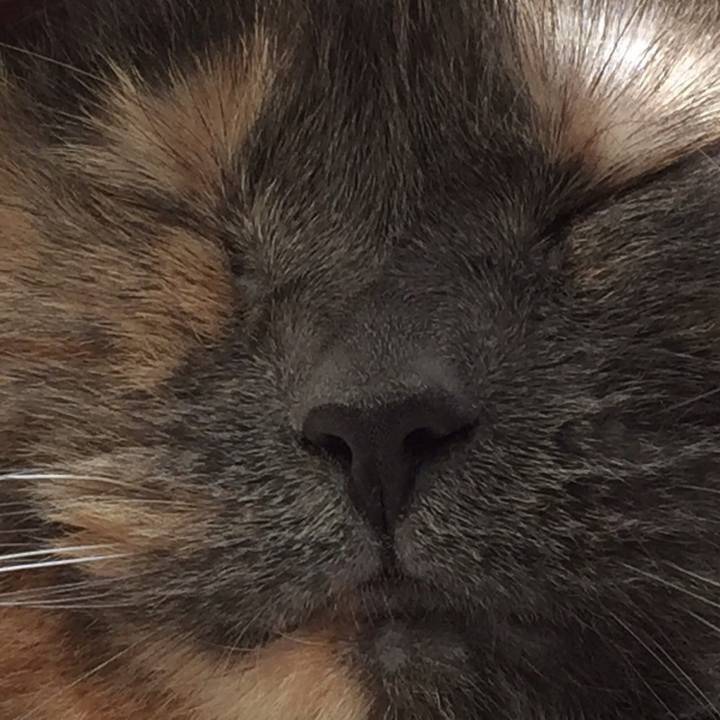 4bbed160 36ad 4d69 8a5d d0fd57131364