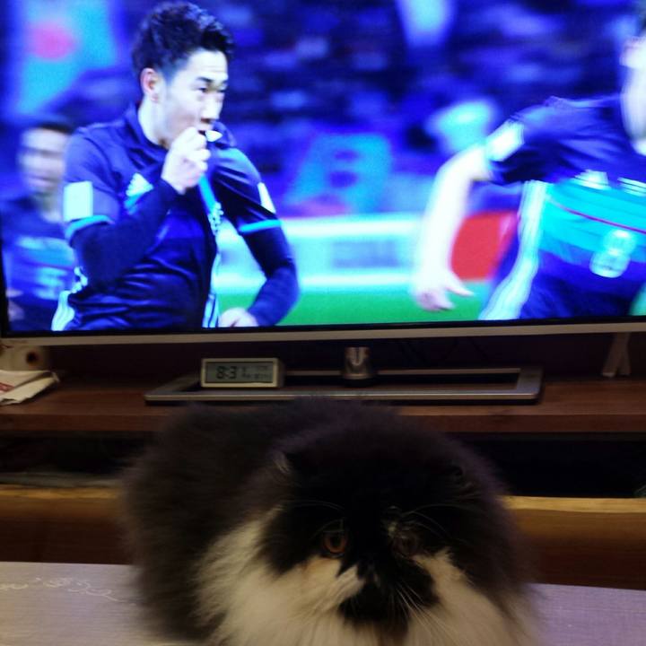 4bbf820c 704f 4620 bbcd 77de4837158b