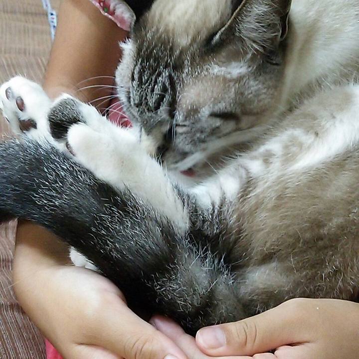 4bc2013f cf81 4003 bba3 8551a16c89b3