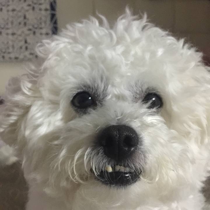 4bc36941 6df8 4de9 bfc1 501a42064996