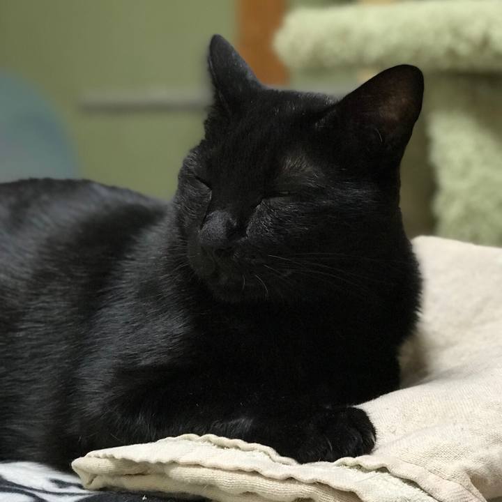 4bc42c4b 6802 4201 91d1 e15b8fe8bf58