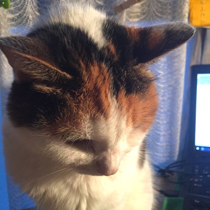 4bc45d07 8438 40d4 b8c7 52102e653df2