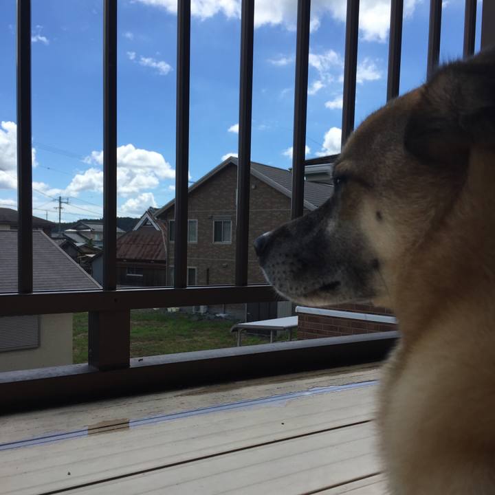 4bc48dad 87c4 4a1d a120 e6734fef94e5