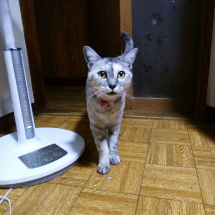 4bc50095 f230 4c52 b374 828bc4338442