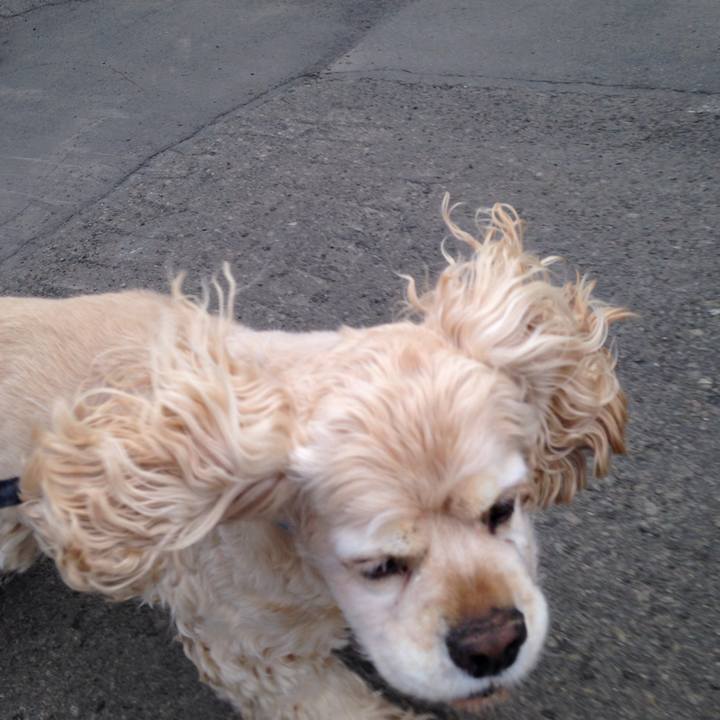 4bc566f0 24c2 49ca 9f93 d6cc182ec9c6