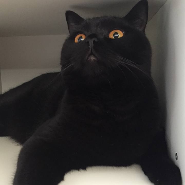 4bc56a21 4a0d 48e0 9aca 240821d6c223