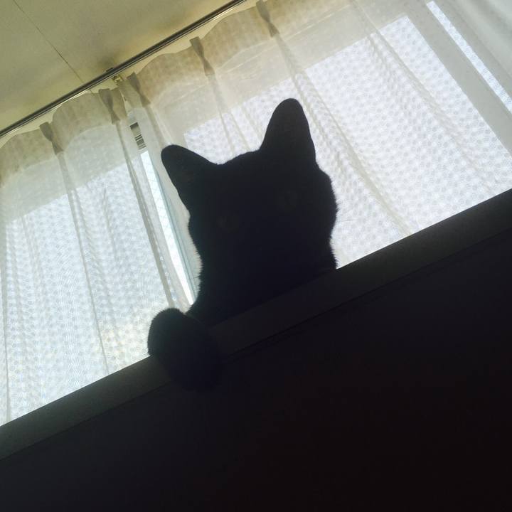 4bc65ac8 5058 47b7 8c28 b8b1d2723450