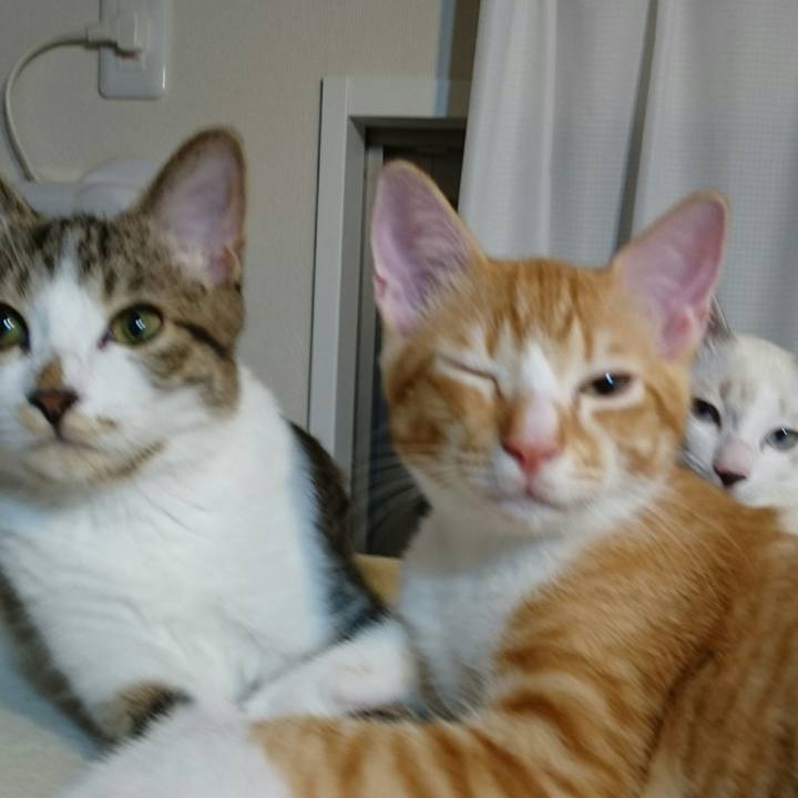 4bc66563 f231 420d 95be 2d841489a586