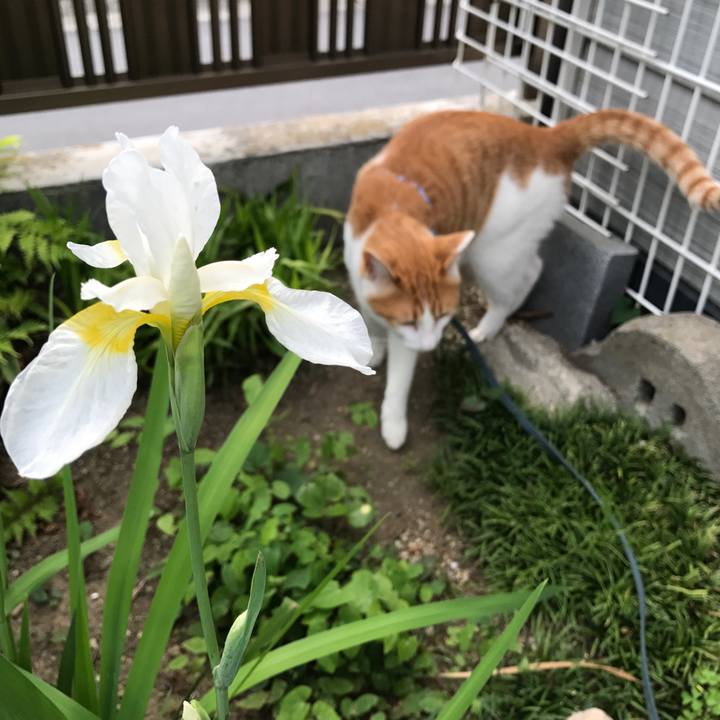 4bc66bf7 5fe3 46f9 8035 4574be38d77b