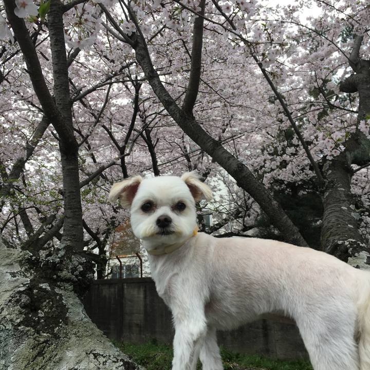 4bc67d21 e996 48ca 9f19 f551924ccd8a