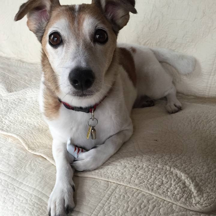 4bc6f79a cdb9 4bf0 a46b 17c871fcb820