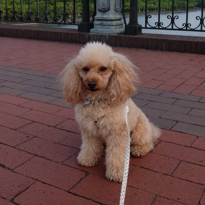 4bc74d9f 88b3 4a39 adcf 3be6f49a9a9f