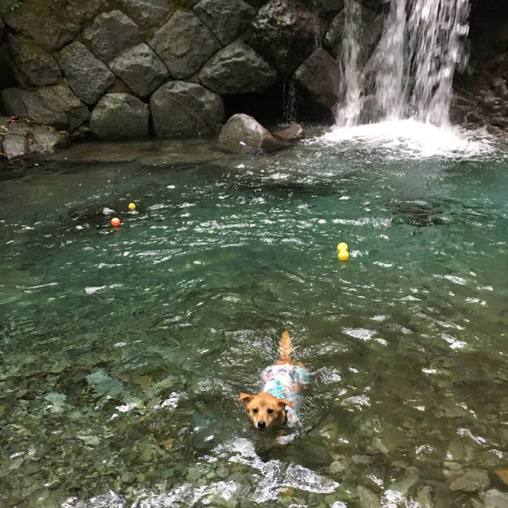 4bc779c5 2e8e 452d ab7e 816c49ab0be9