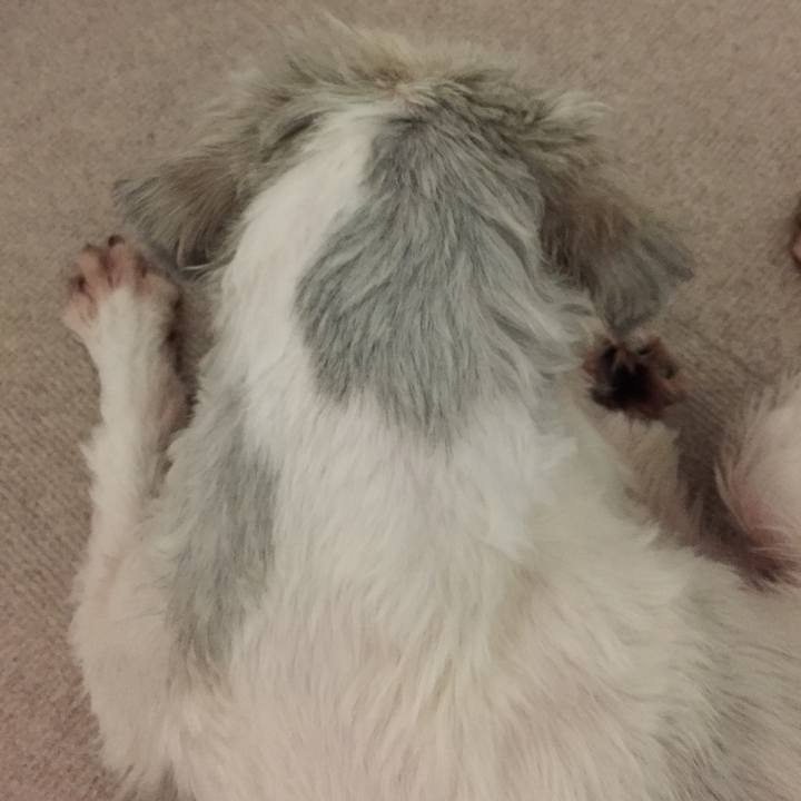 4bc7b1b8 6b24 4adb 9f7c 91e0cc692919