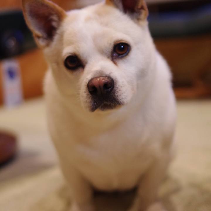 4bc87ee3 b105 4efc 90e4 1e322d62a7eb