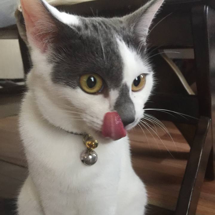 4bc8f2d2 7510 453e b562 be4741e16ad2