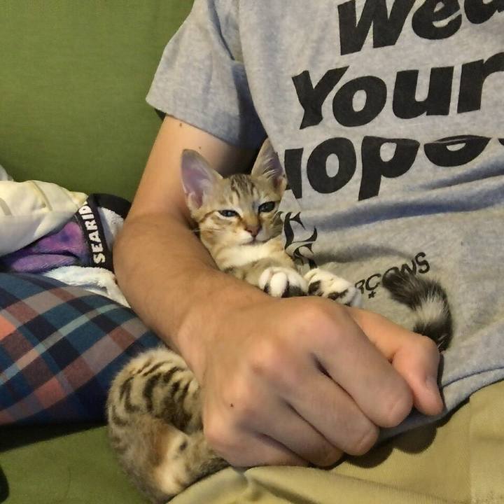 4bc900de 3ed8 4ca7 8abc afe66d5d97cf